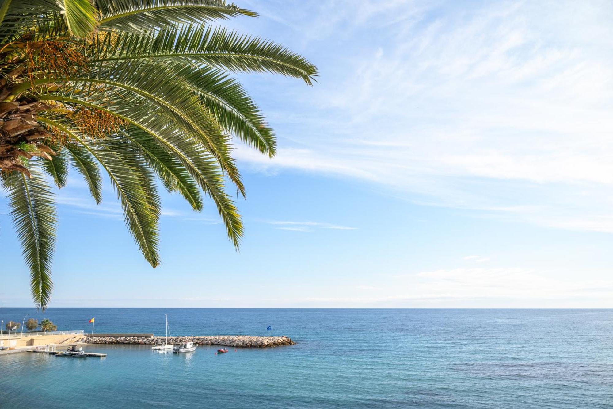 Le Coq Ligures - Air Conditioning - Seafront - Wifi Roquebrune-Cap-Martin Kültér fotó